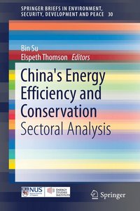 bokomslag China's Energy Efficiency and Conservation