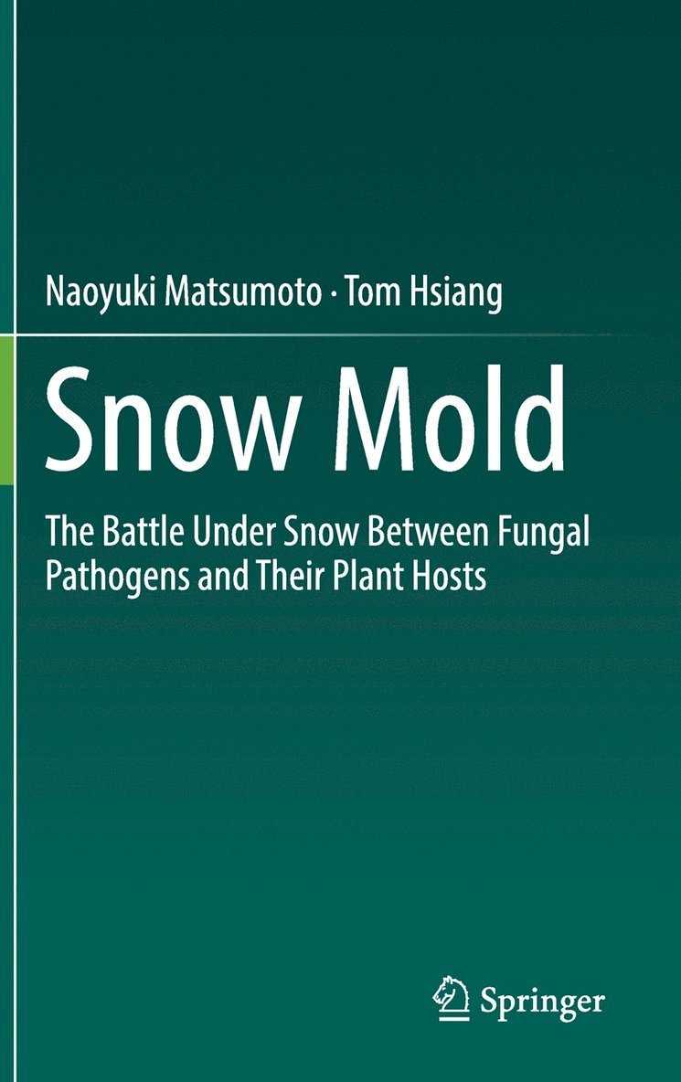 Snow Mold 1