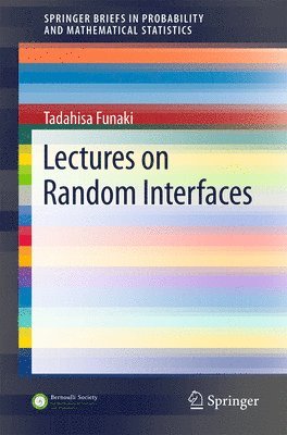 Lectures on Random Interfaces 1