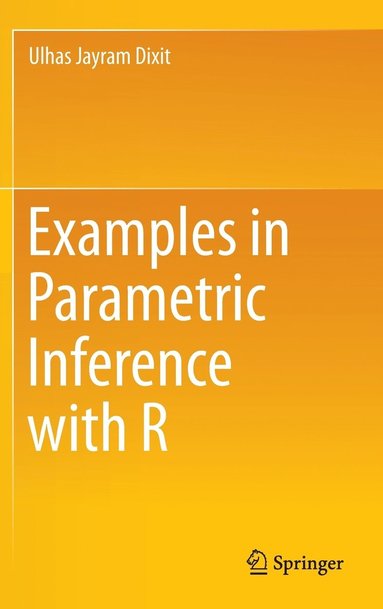 bokomslag Examples in Parametric Inference with R