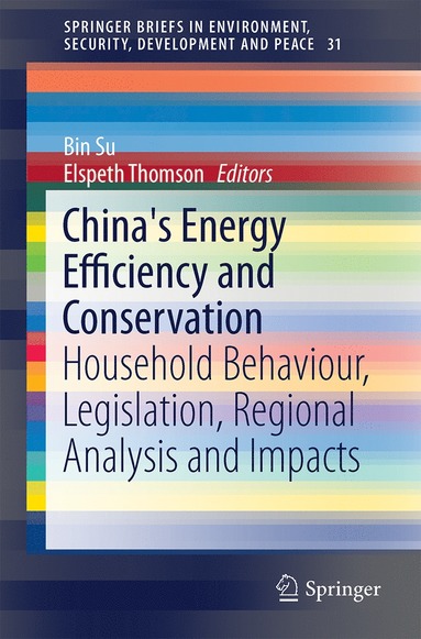 bokomslag China's Energy Efficiency and Conservation