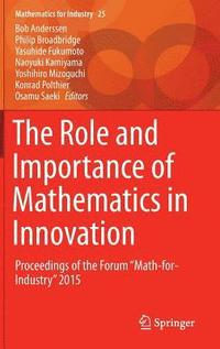 bokomslag The Role and Importance of Mathematics in Innovation