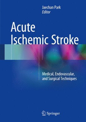 bokomslag Acute Ischemic Stroke