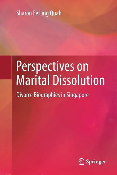 bokomslag Perspectives on Marital Dissolution