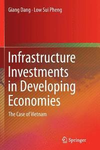 bokomslag Infrastructure Investments in Developing Economies