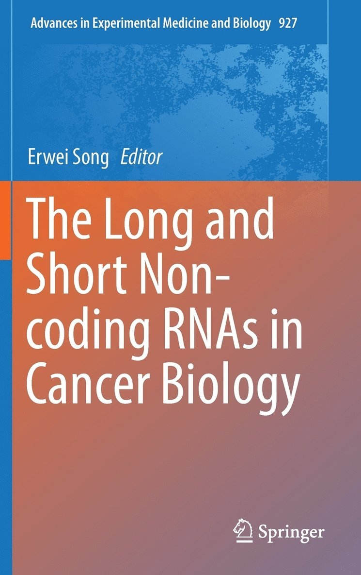Long and Short Non-coding RNAs in Cancer Biology