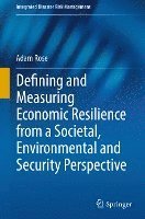bokomslag Defining and Measuring Economic Resilience from a Societal, Environmental and Security Perspective
