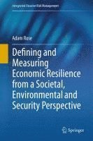 bokomslag Defining and Measuring Economic Resilience from a Societal, Environmental and Security Perspective