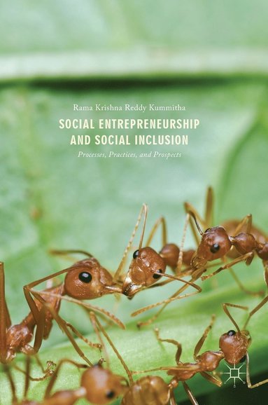 bokomslag Social Entrepreneurship and Social Inclusion