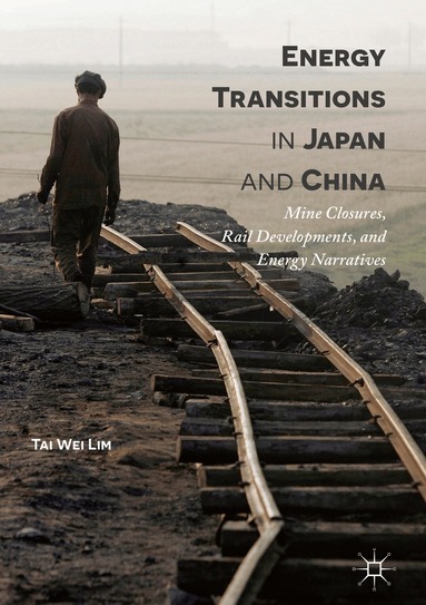 Tai Wei Lim - Energy Transitions in Japan and China, Inbunden