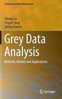 bokomslag Grey Data Analysis