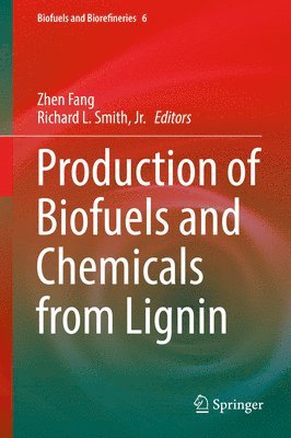 bokomslag Production of Biofuels and Chemicals from Lignin