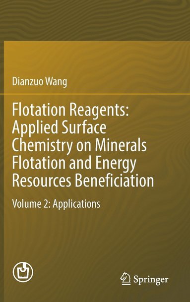 bokomslag Flotation Reagents: Applied Surface Chemistry on Minerals Flotation and Energy Resources Beneficiation