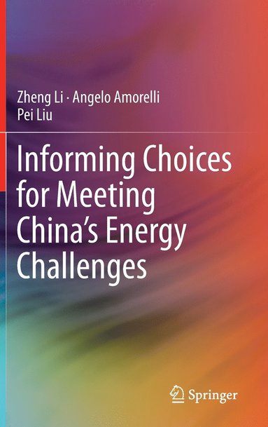 bokomslag Informing Choices for Meeting China's Energy Challenges