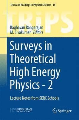 bokomslag Surveys in Theoretical High Energy Physics - 2