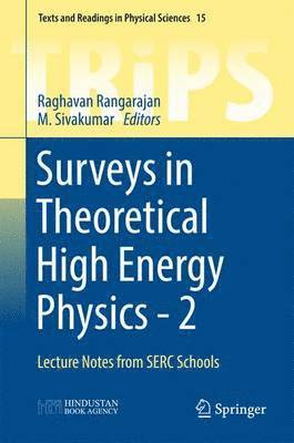 bokomslag Surveys in Theoretical High Energy Physics - 2