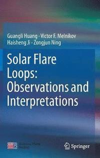 bokomslag Solar Flare Loops: Observations and Interpretations