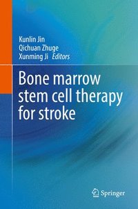 bokomslag Bone marrow stem cell therapy for stroke
