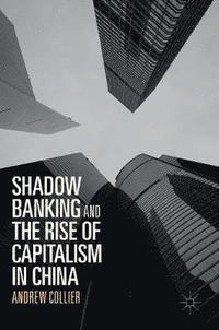 bokomslag Shadow Banking and the Rise of Capitalism in China