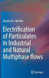 bokomslag Electrification of Particulates in Industrial and Natural Multiphase flows