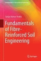 bokomslag Fundamentals of Fibre-Reinforced Soil Engineering