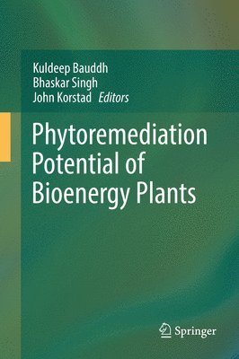 bokomslag Phytoremediation Potential of Bioenergy Plants