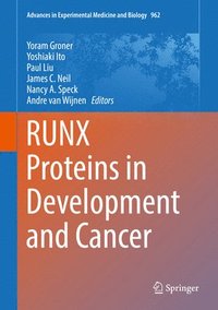 bokomslag RUNX Proteins in Development and Cancer