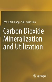 bokomslag Carbon Dioxide Mineralization and Utilization