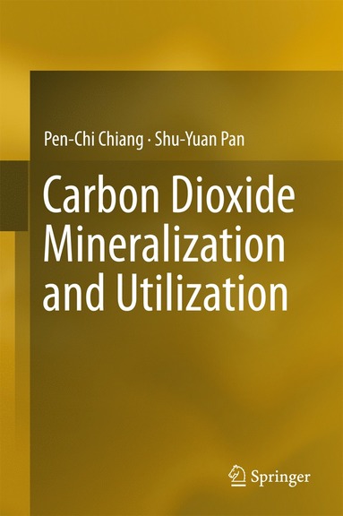 bokomslag Carbon Dioxide Mineralization and Utilization