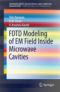 bokomslag FDTD Modeling of EM Field inside Microwave Cavities