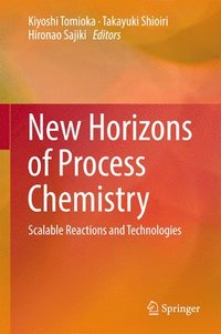 bokomslag New Horizons of Process Chemistry