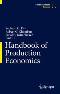 bokomslag Handbook of Production Economics