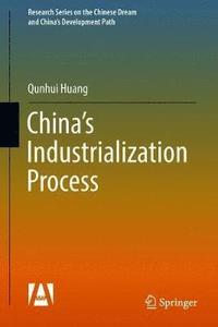 bokomslag China's Industrialization Process