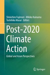 bokomslag Post-2020 Climate Action