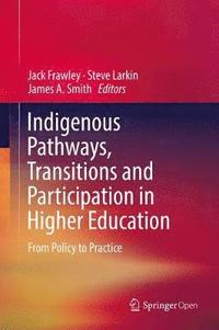 bokomslag Indigenous Pathways, Transitions and Participation in Higher Education