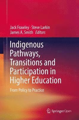 bokomslag Indigenous Pathways, Transitions and Participation in Higher Education