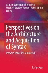 bokomslag Perspectives on the Architecture and Acquisition of Syntax