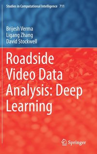 bokomslag Roadside Video Data Analysis