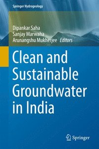 bokomslag Clean and Sustainable Groundwater in India