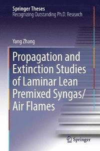 bokomslag Propagation and Extinction Studies of Laminar Lean Premixed Syngas/Air Flames