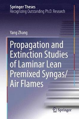 bokomslag Propagation and Extinction Studies of Laminar Lean Premixed Syngas/Air Flames