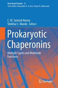 bokomslag Prokaryotic Chaperonins