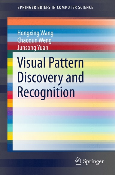 bokomslag Visual Pattern Discovery and Recognition