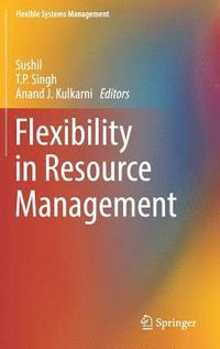 bokomslag Flexibility in Resource Management