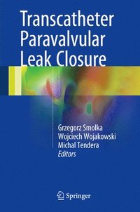 bokomslag Transcatheter Paravalvular Leak Closure
