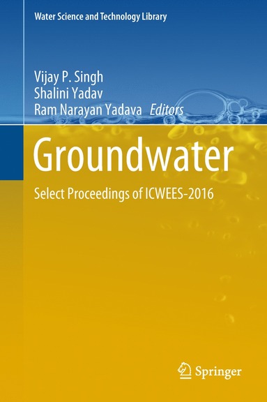 bokomslag Groundwater