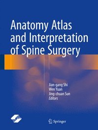 bokomslag Anatomy Atlas and Interpretation of Spine Surgery