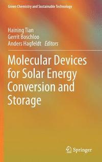 bokomslag Molecular Devices for Solar Energy Conversion and Storage