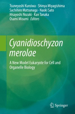 bokomslag Cyanidioschyzon merolae