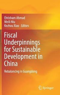 bokomslag Fiscal Underpinnings for Sustainable Development in China
